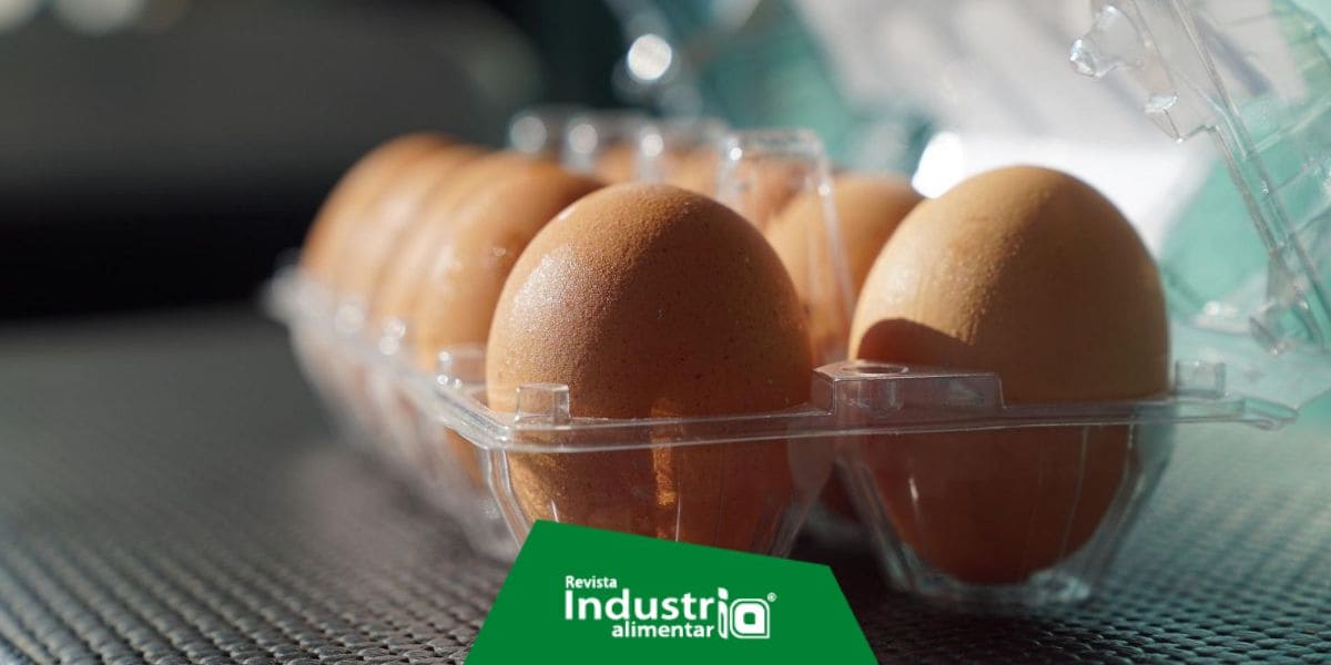 España: Lanzan al mercado huevos ecológicos mediante tecnología blockchain Revista Industria Alimentaria